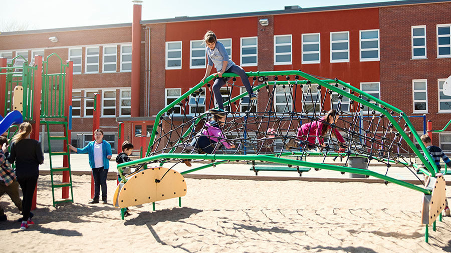 Promote physical activity in schools