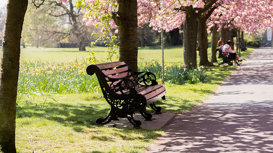 SPIKE | How to Create an Engaging Community Park: 9 Essential Steps to Follow SPIKE | How to Create an Engaging Community Park: 9 Essential Steps to Follow