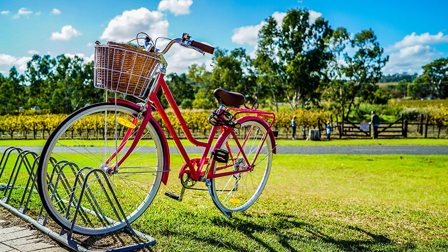 SPIKE | How to Create an Engaging Community Park: 9 Essential Steps to Follow SPIKE | How to Create an Engaging Community Park: 9 Essential Steps to Follow