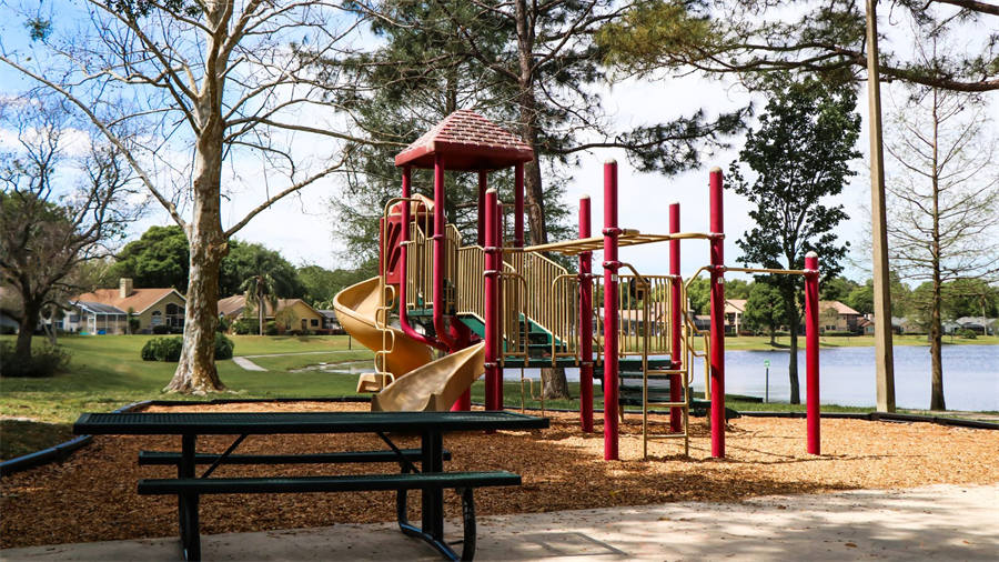 SPIKE | Elements of a Successful Public Park SPIKE | Elements of a Successful Public Park