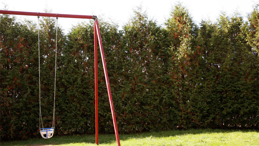 SPIKE | Elements of a Successful Public Park SPIKE | Elements of a Successful Public Park